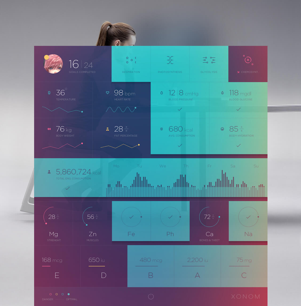Xonom Dashboard